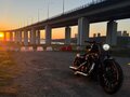 2009 Harley-Davidson Sportster 883, чёрный, 670000 рублей - вид 10