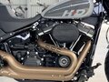 2024 Harley-Davidson Fat Bob, серый - вид 10