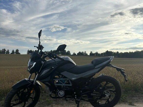 2025 Rokon Ranger, серый, 110000 рублей