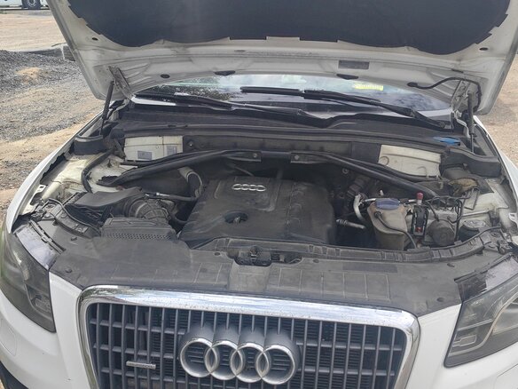 2010 Audi Q5 I (8R), белый - вид 5
