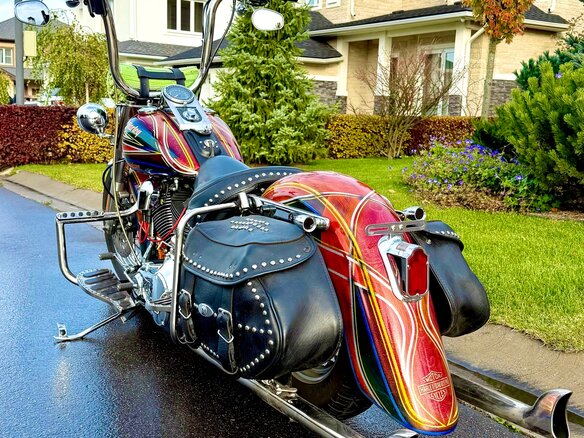 2004 Harley-Davidson Heritage, красный, 2000000 рублей - вид 15