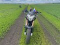 2013 Stels 250 Enduro, чёрный - вид 4