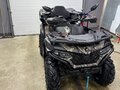 2024 CFMoto CFORCE 600 EPS, коричневый, 1000000 рублей - вид 5