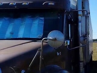 2004 Freightliner Columbia, коричневый, 3500000 рублей, вид 4