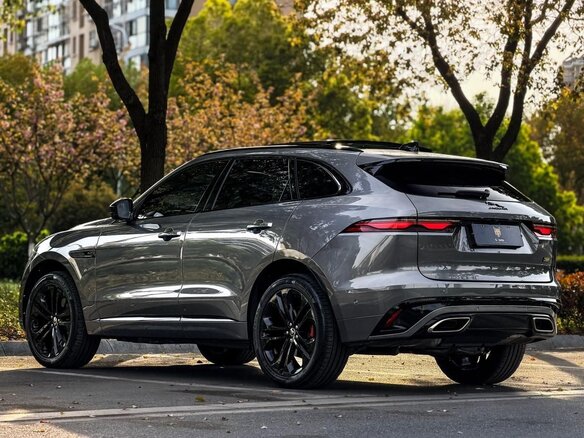 2024 Jaguar F-Pace I Рестайлинг, серебристый, 5990023 рублей - вид 7