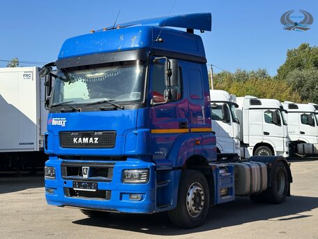2020 КамАЗ 5490, синий, 3200000 рублей, вид 1