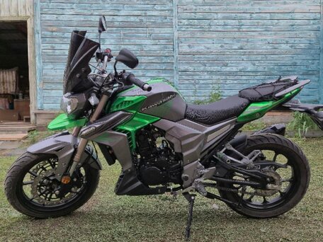 2020 Regulmoto T-Leopard 300, зелёный, 210000 рублей, вид 1