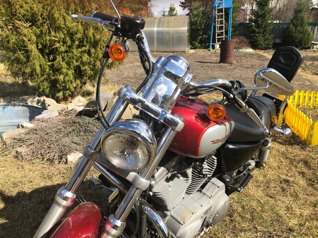2004 Harley-Davidson Sportster 883, красный, 450000 рублей, вид 2