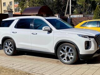 2019 Hyundai Palisade I, белый, 4200000 рублей, вид 2