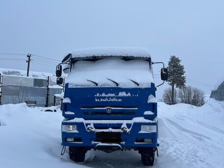 2021 КамАЗ 65225, синий, 12000000 рублей, вид 2