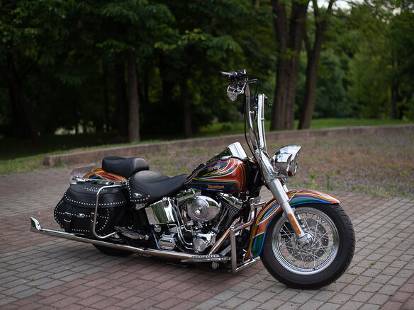 2004 Harley-Davidson Softail Custom, красный, 1188668 рублей - вид 11