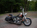 2004 Harley-Davidson Softail Custom, красный, 1188668 рублей - вид 11