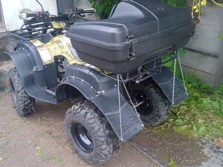 2024 Motoland ATV 250 Adventure, зелёный, 199900 рублей, вид 2