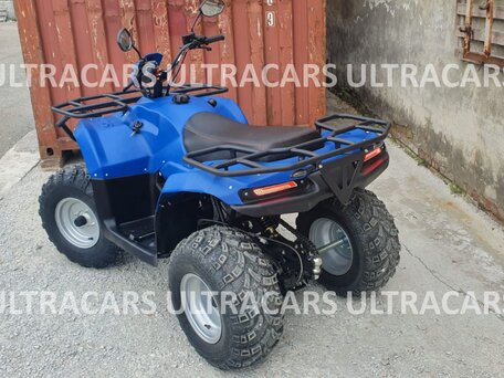2026 Irbis ATV 250U, синий, 227998 рублей, вид 5