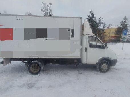 2010 ГАЗ ГАЗель (3302), белый, 900000 рублей, вид 3