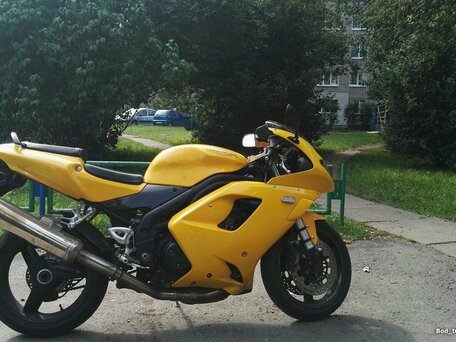 2005 Triumph Daytona 955i, жёлтый, 253285 рублей, вид 1