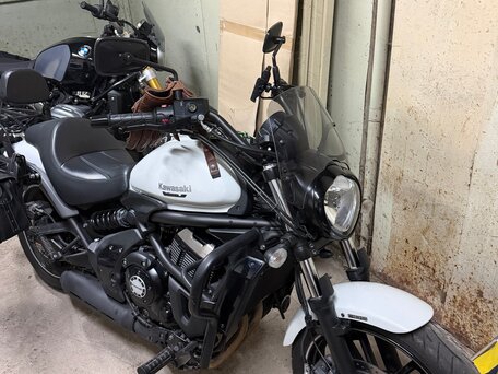 2020 Kawasaki EN650 Vulcan S, белый, 790000 рублей, вид 1
