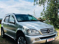 2005 Mercedes-Benz M-Класс 350 I (W163) Рестайлинг, серебристый - вид 3