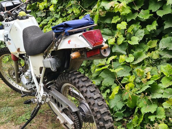 1988 Honda NX, белый, 105000 рублей - вид 3