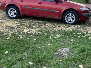 2006 Renault Megane II, красный, 300000 рублей, вид 3
