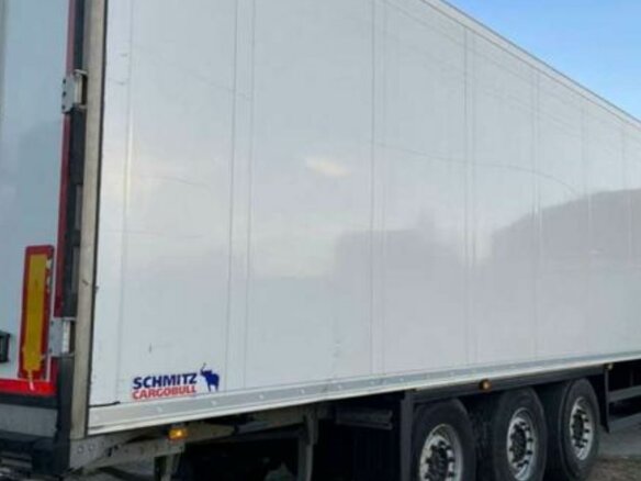 2017 Schmitz Cargobull SKO, белый, 5999999 рублей - вид 25