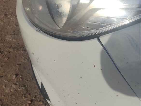 2012 Ford Focus III, белый, 915000 рублей - вид 16