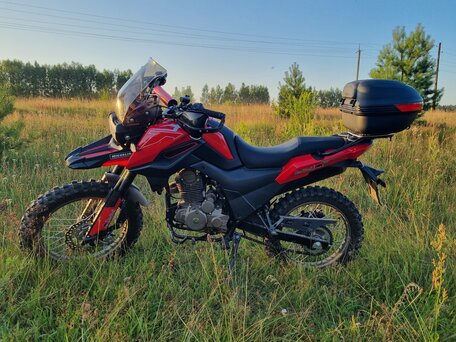 2022 Shineray Fireguard 250 Trail, красный, 147000 рублей, вид 3