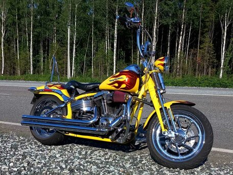 2008 Harley-Davidson Springer Softail, жёлтый, 1300000 рублей, вид 3