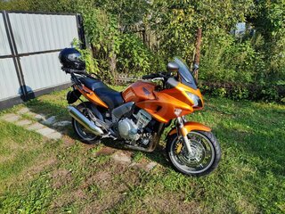2007 Honda CBF 1000, золотистый, 526410 рублей, вид 4