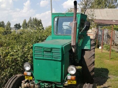 1985 ЛТЗ Т-40АМ, зелёный, 140000 рублей, вид 4