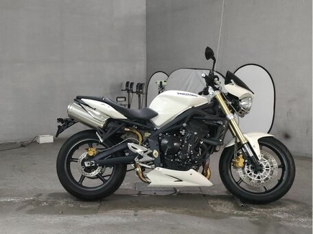 2008 Triumph Street Triple, белый, 490000 рублей, вид 2
