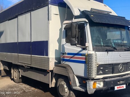 1992 Mercedes-Benz 817, белый, 1400000 рублей, вид 1