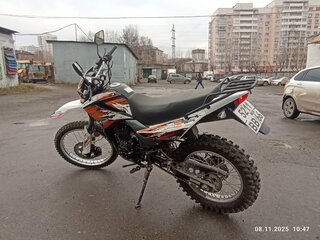 2020 Racer Panther, оранжевый, 115000 рублей, вид 2