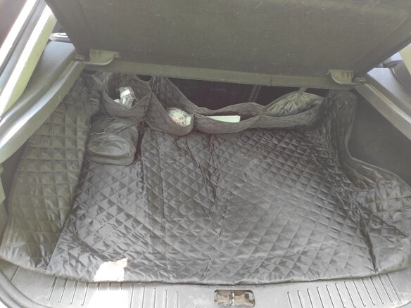2006 Ford Focus II, серебристый, 380000 рублей - вид 15