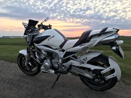 2004 Yamaha FZ6, белый, 450000 рублей, вид 2