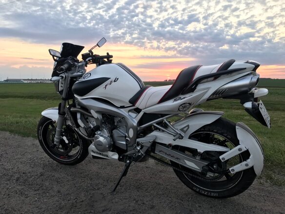 2004 Yamaha FZ6, белый, 450000 рублей - вид 1