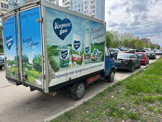 2008 ГАЗ ГАЗель (3302), синий, 600000 рублей, вид 4