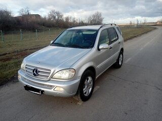 2003 Mercedes-Benz M-Класс 350 I (W163) Рестайлинг, серый, 700000 рублей, вид 1