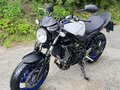 2016 Suzuki SV 650, белый, 500000 рублей - вид 6