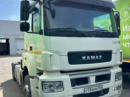 2019 КамАЗ 5490 NEO, белый, 1800000 рублей, вид 2