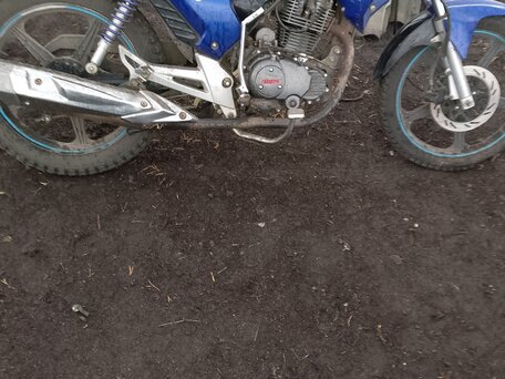 2015 Irbis GR 250, синий, 100000 рублей, вид 4