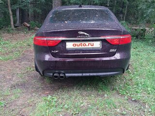 2019 Jaguar XF II, пурпурный, 3100000 рублей, вид 4