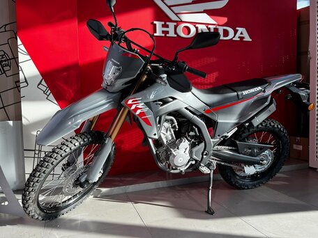 2025 Honda CRF 300L, серый, 891000 рублей, вид 4
