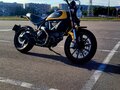 2017 Ducati Scrambler 800, жёлтый, 555213 рублей - вид 8