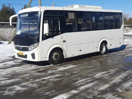 2019 ПАЗ 3204, белый, 5000000 рублей, вид 2