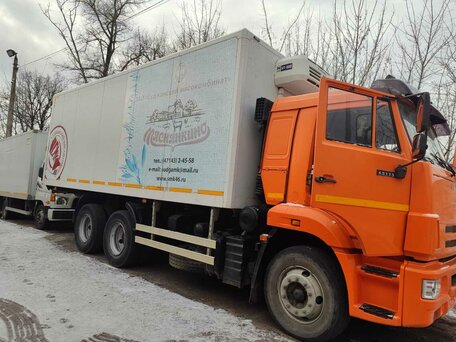 2019 КамАЗ 65115, красный, 2900000 рублей, вид 1