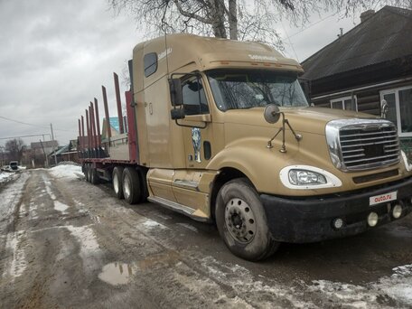2004 Freightliner Columbia, коричневый, 2000000 рублей, вид 2