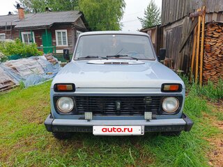 2005 Lada (ВАЗ) 2131 (4x4) I, серебристый, 230000 рублей, вид 2