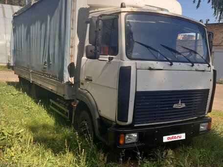 2008 МАЗ 4370, белый, 500000 рублей, вид 1