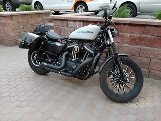 2014 Harley-Davidson Sportster 883, серый, 950000 рублей, вид 4